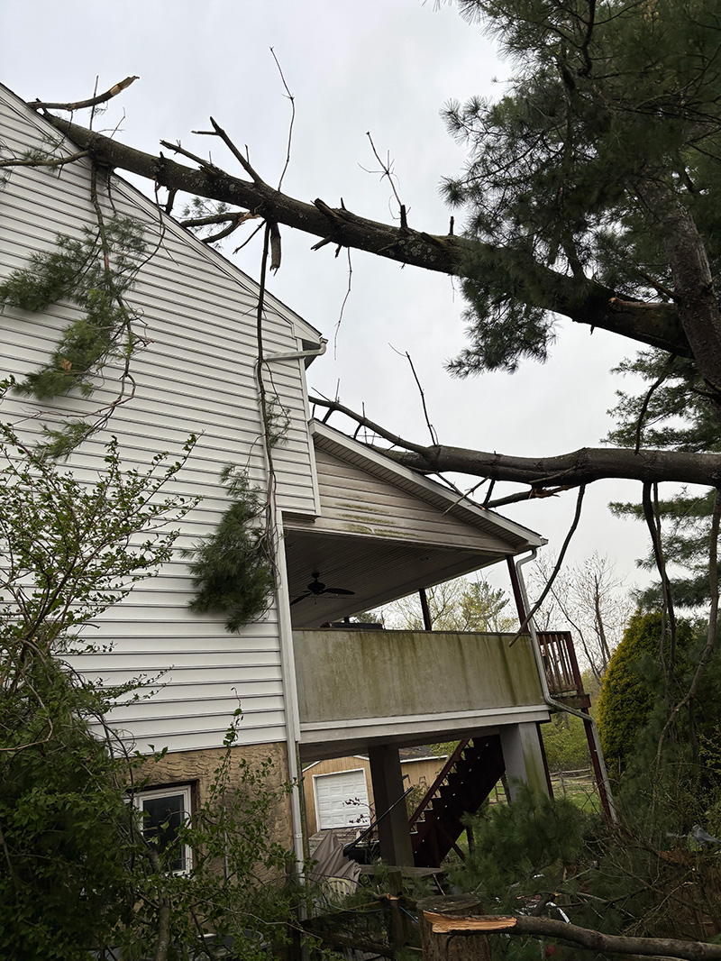 storm-1