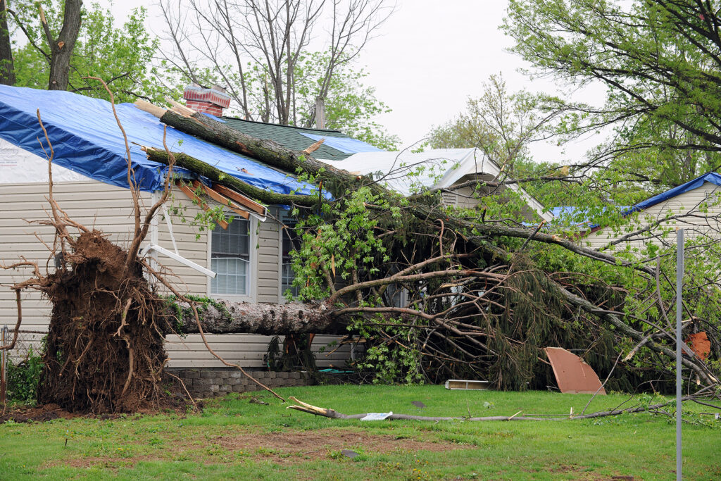 A house with two fallen trees